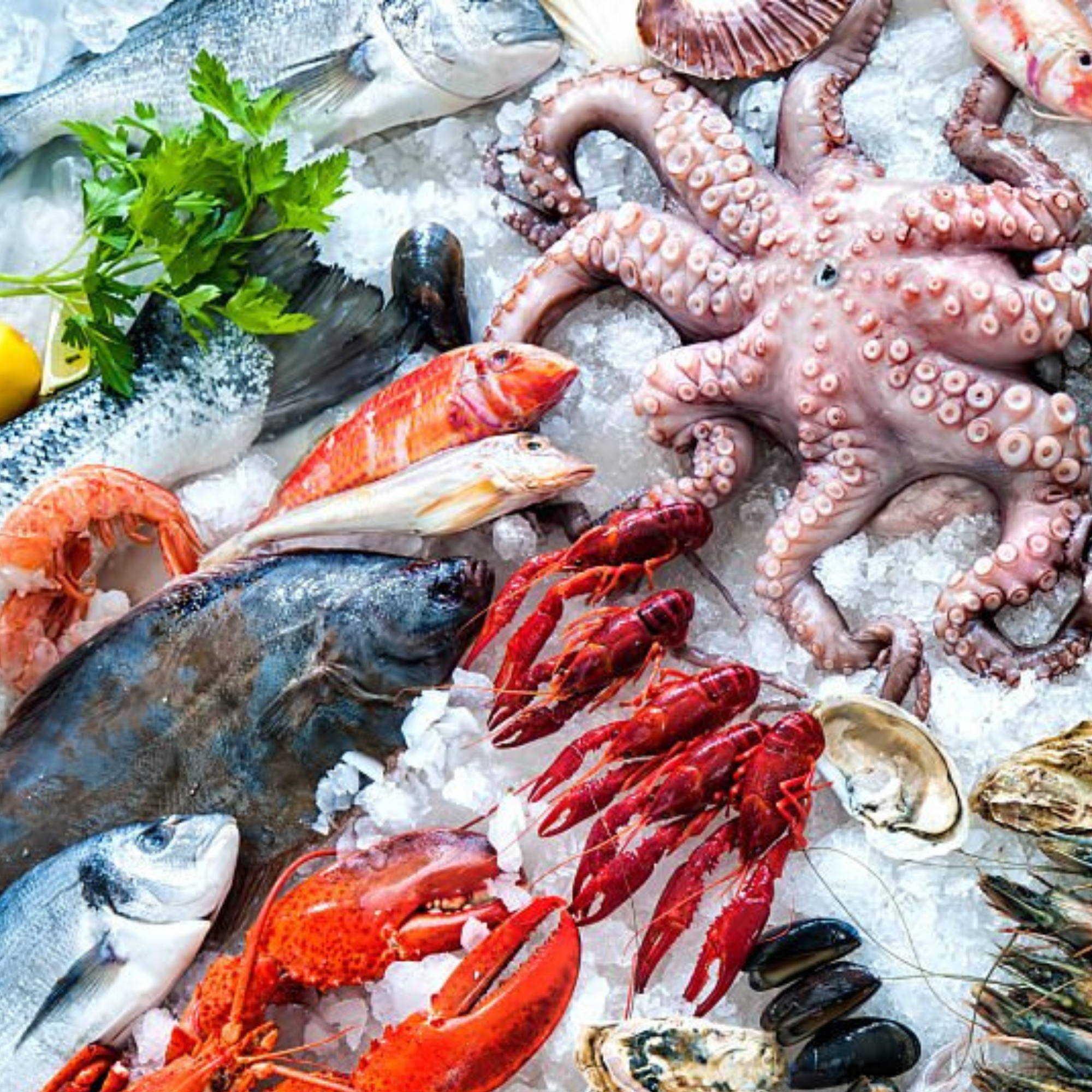 Fish and Seafood